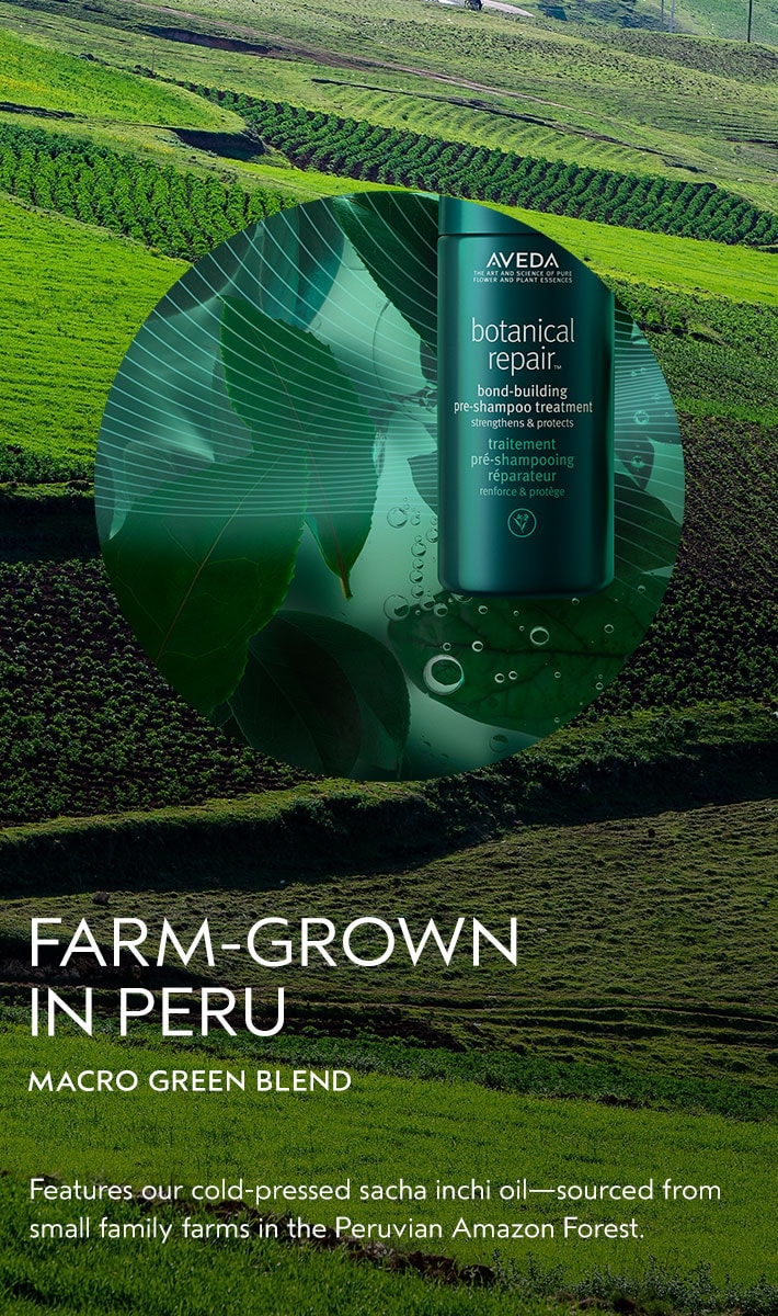 botanical repair<span class="trade">&trade;</span> bond-building pre-shampoo treatment