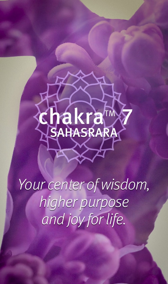 chakra&trade; 7 balancing body mist wisdom