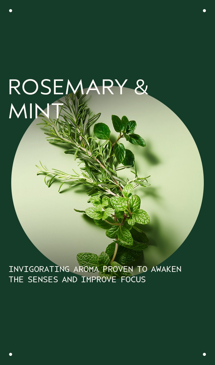 rosemary mint hand and body wash