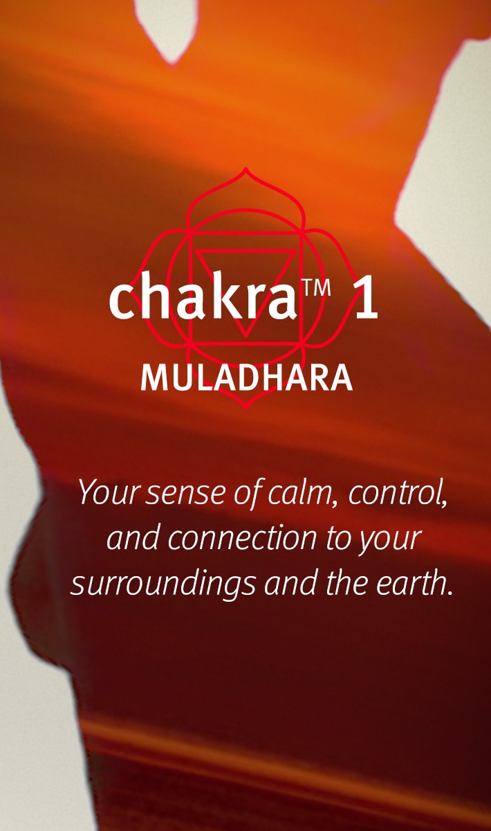 chakra<span class="trade">&trade;</span> 1 balancing body mist grounded
