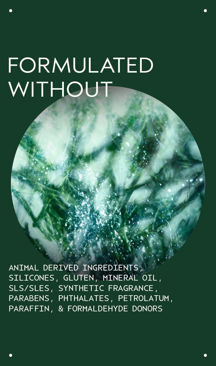 botanical kinetics<span class="trade">&trade;</span> purifying creme cleanser