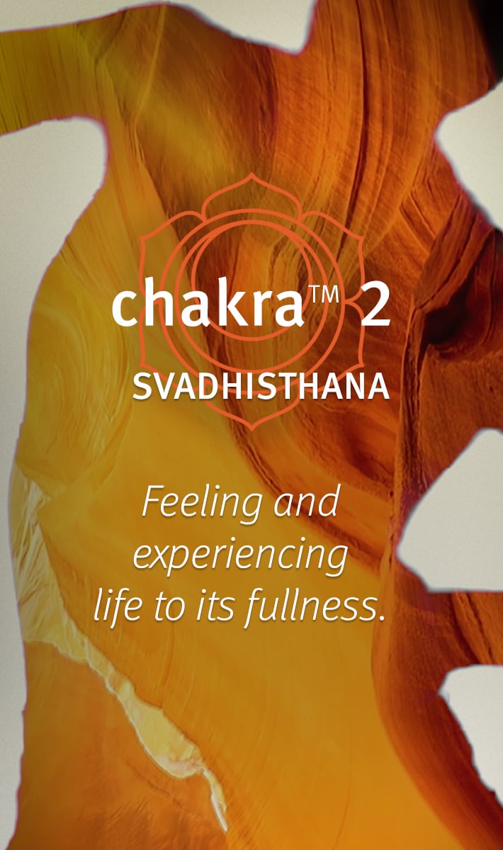 chakra<span class="trade">&trade;</span> 2 balancing body mist nourished