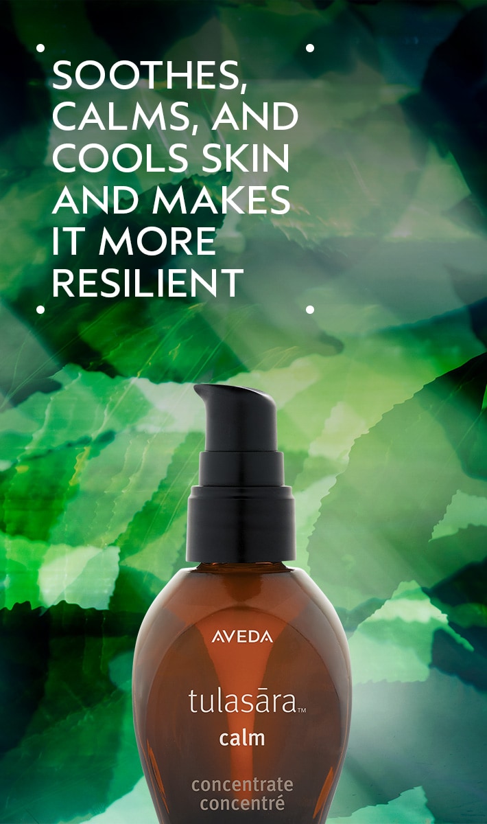 tulasāra<span class="trade">&trade;</span> calm concentrate 