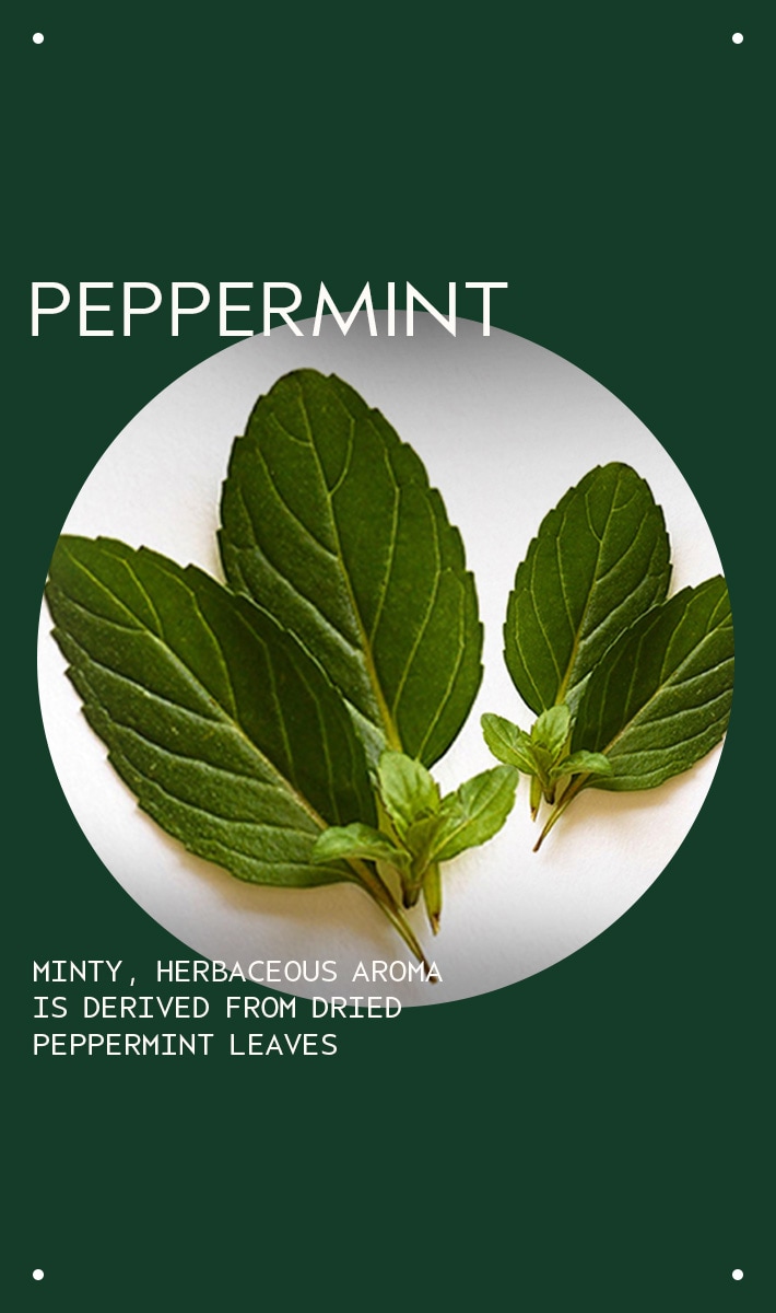 peppermint essential oil + base