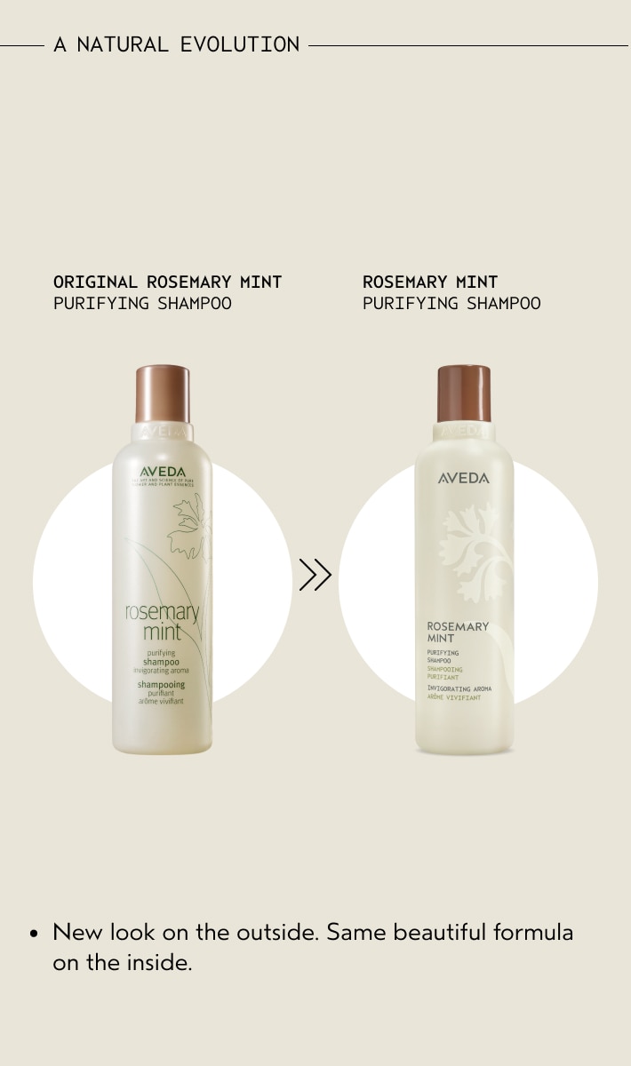 rosemary mint purifying shampoo