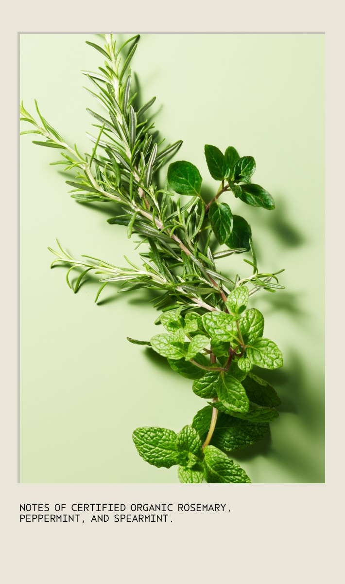 rosemary mint weightless conditioner